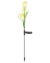 Bild 1 von Solarstecker Tulpe, ca. 80 cm, gelb