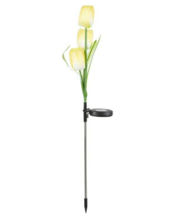 Bild 1 von Solarstecker Tulpe, ca. 80 cm, gelb