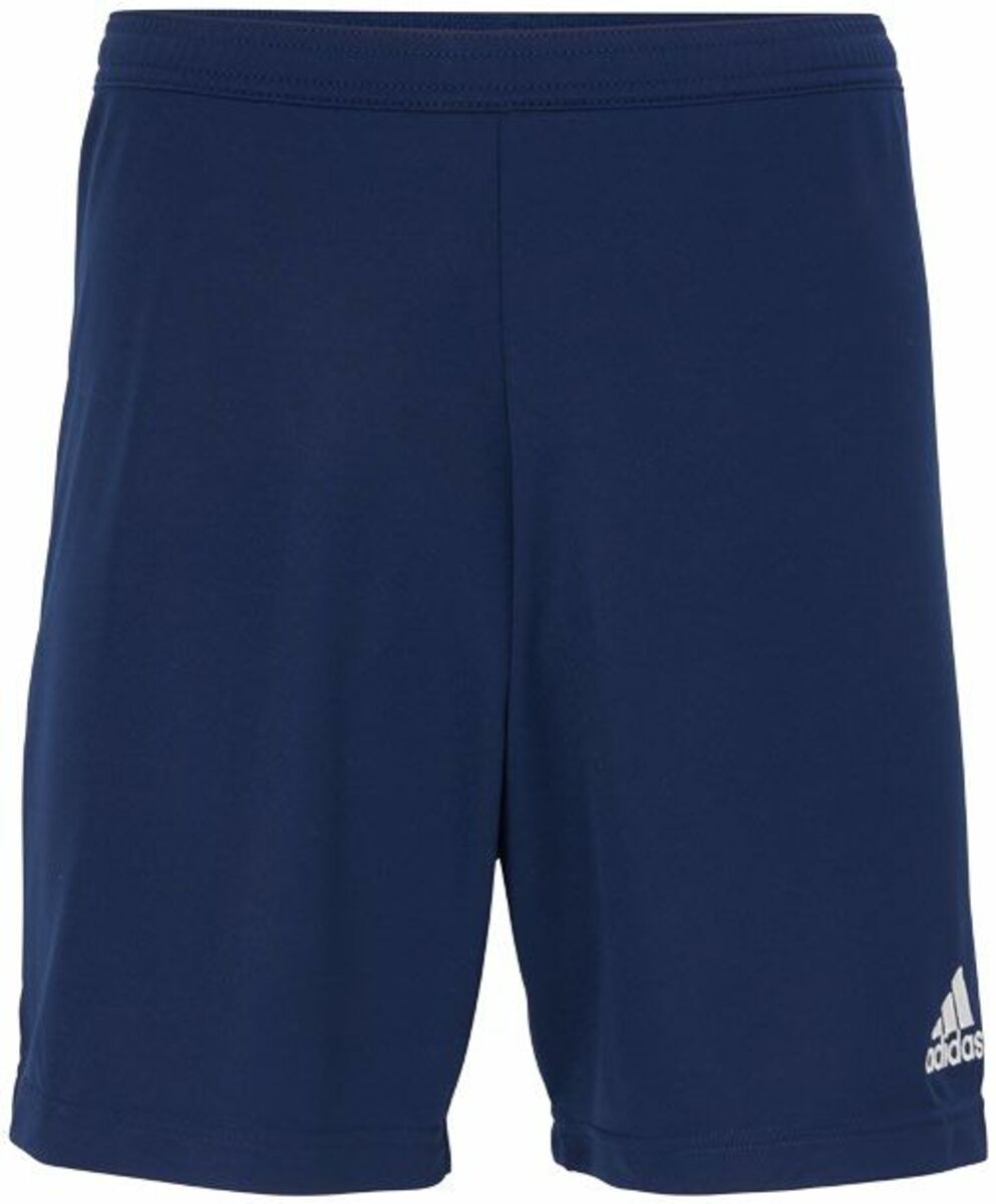 Bild 2 von adidas Shorts für Herren
