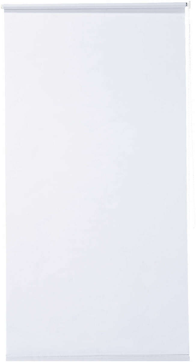 Bild 1 von LIV&BO® Tageslichtrollo