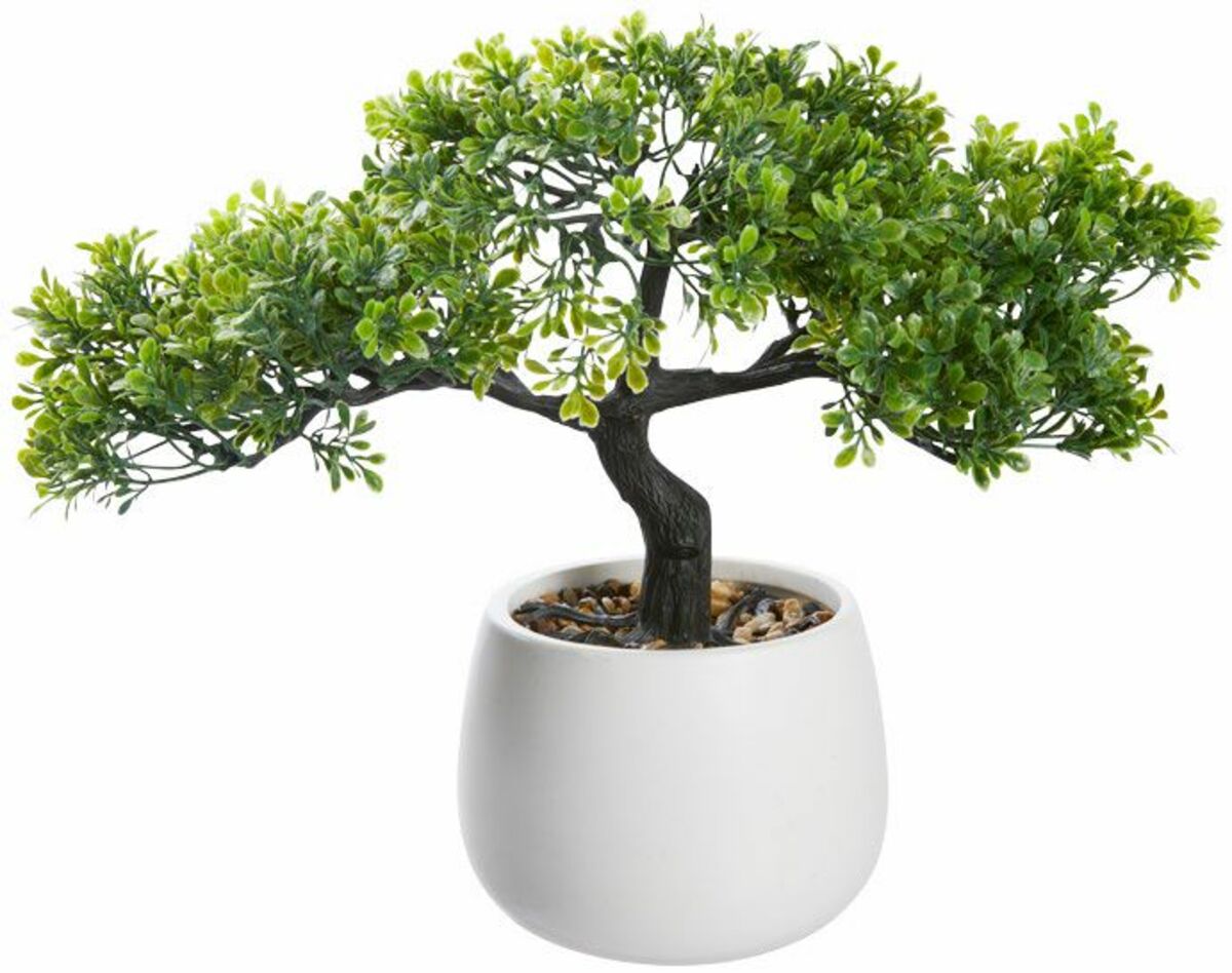 Bild 1 von Kunst-Bonsai