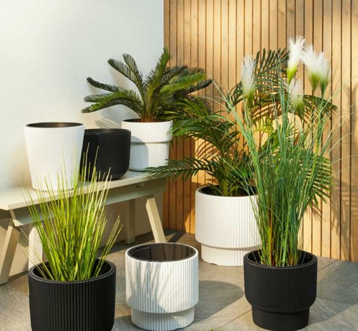 Bild 1 von Pflanztopf „Milly“