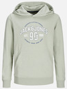 Bild 1 von Jack&Jones JJMINDS SWEAT HOOD JN Hoodie
                 
                                                        Grün