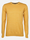 Bild 1 von Herren Pullover unifarben
                 
                                                        Gelb