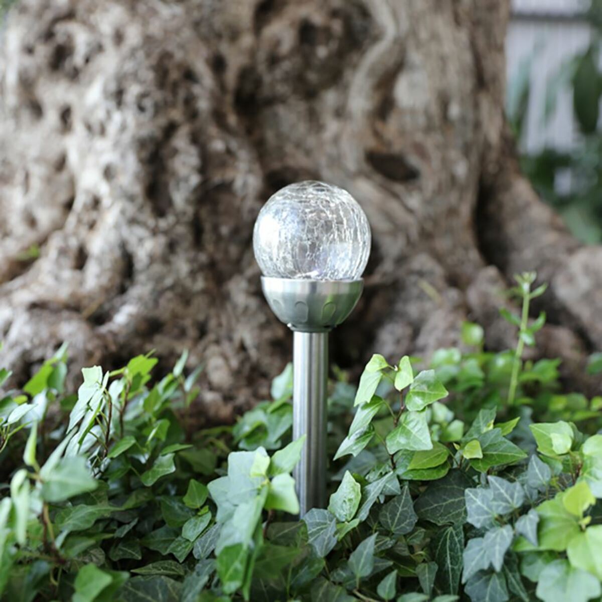 Bild 1 von LED-Solar-Gartenleuchte mit Crackle-Glaskugel Kaltweiß