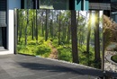 Bild 1 von Westerholt Seitenmarkise mit Fotodruck Wald 1,6x3m, links