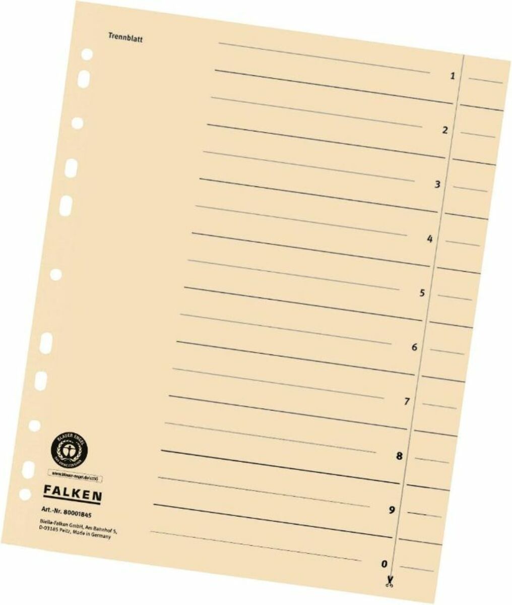 Bild 4 von Falken 5x100 Trennblätter 80001845 DIN-A4, 24x30cm, lochverstärkt, 180g/m² Karton, chamois
