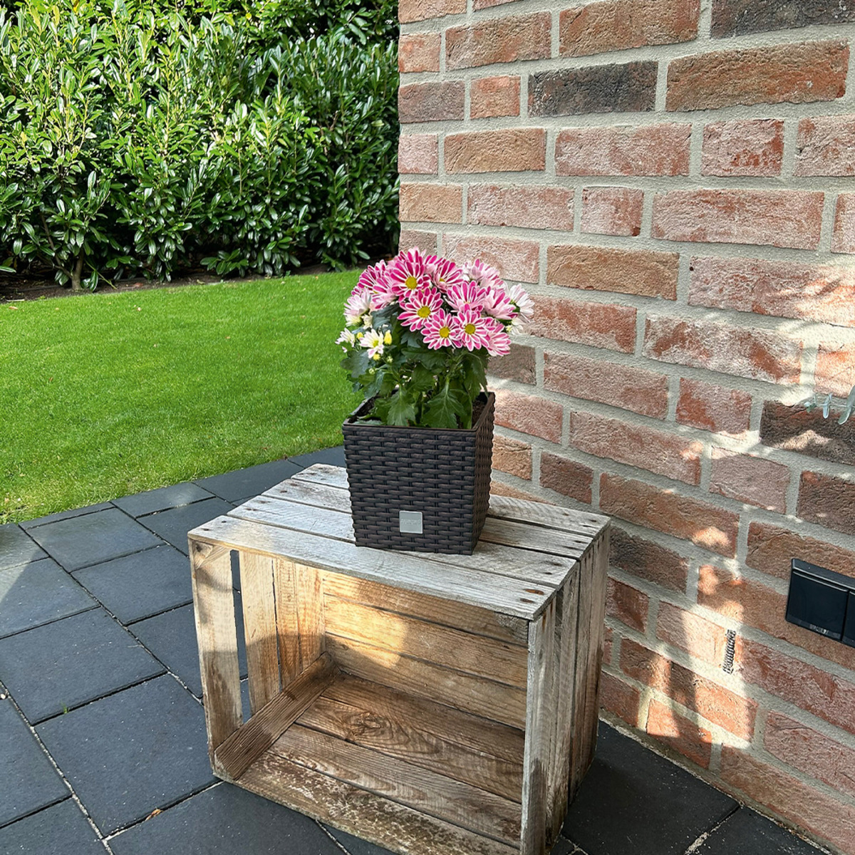 Bild 1 von Powertec Garden Blumentopf "Rattanoptik" eckig - ca. 4 Liter, Braun