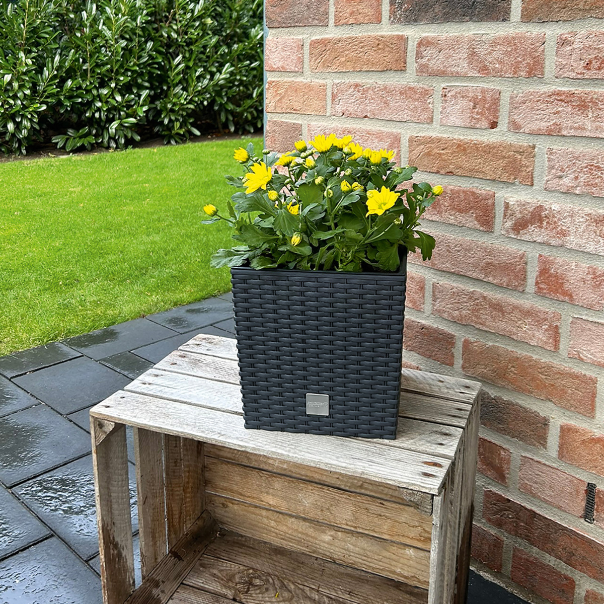 Powertec Garden Blumentopf "Rattanoptik" eckig ca. 9,5 Liter