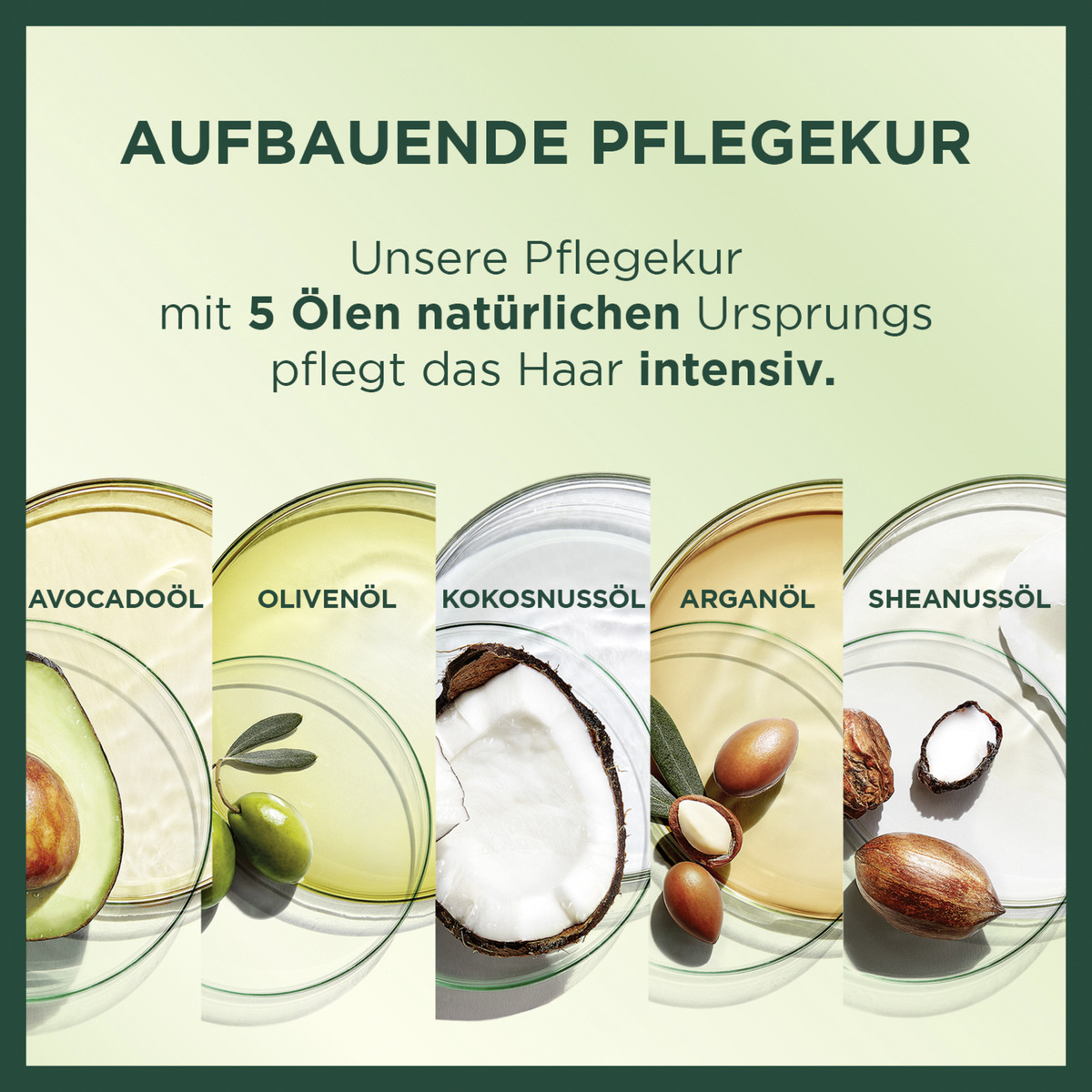 Bild 4 von Garnier Nutrisse Creme dauerhafte Pflege-Haarfarbe 63 Dunkles Goldblond