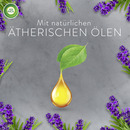 Bild 4 von Air Wick Aroma-Öl Flakon entspannender Lavendel 24.95 EUR/100 ml