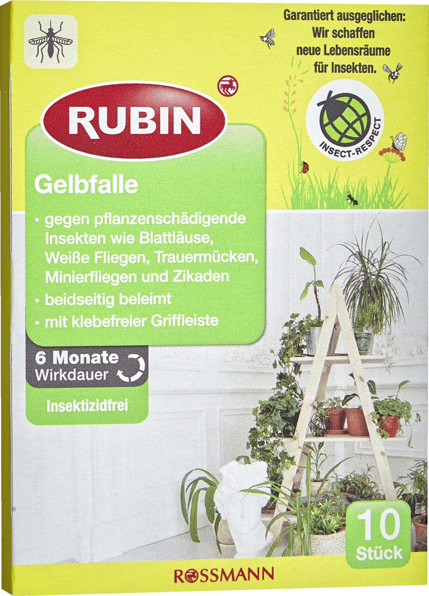 Bild 1 von RUBIN Gelbfalle