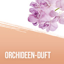 Bild 2 von ISANA Cremedusche Orchidee & Vanille 1.83 EUR/1 l
