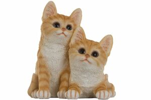 My Flair Katzenkinder, orange/weiß gestreift