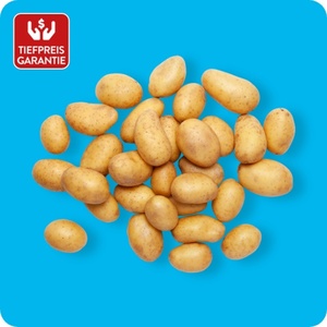 Speisefrühkartoffeln „Spargelkartoffeln“, Saisonstart