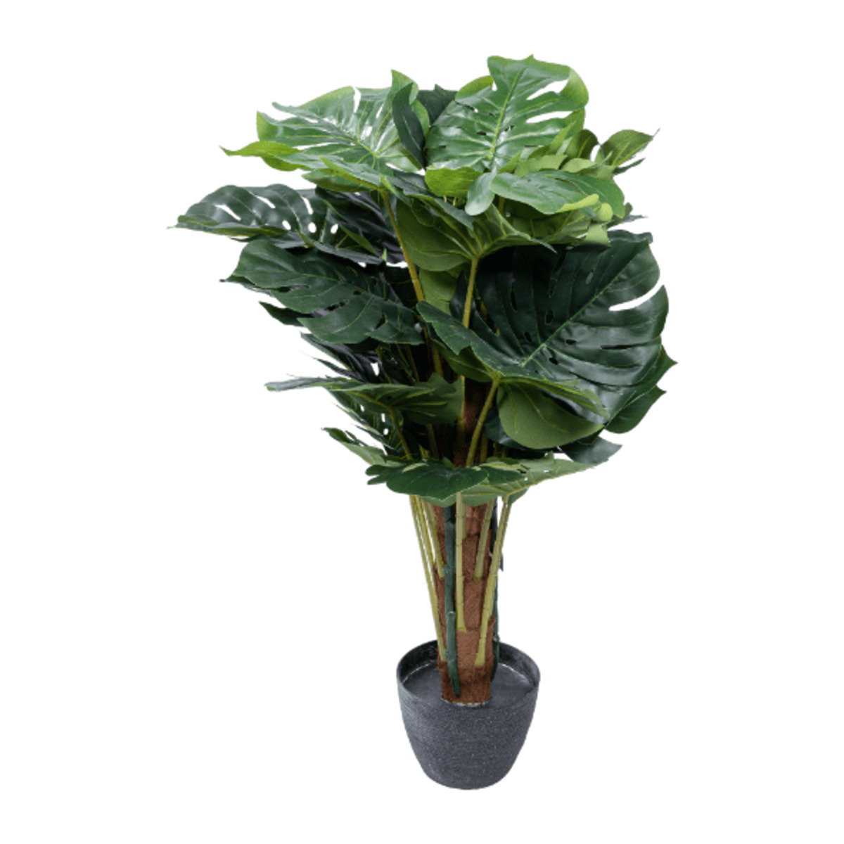 Bild 2 von HOME CREATION Künstliche Pflanzen