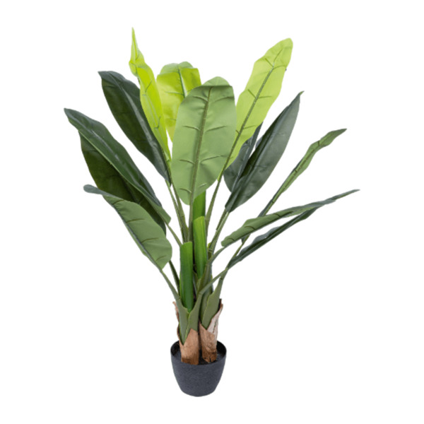 Bild 3 von HOME CREATION Künstliche Pflanzen