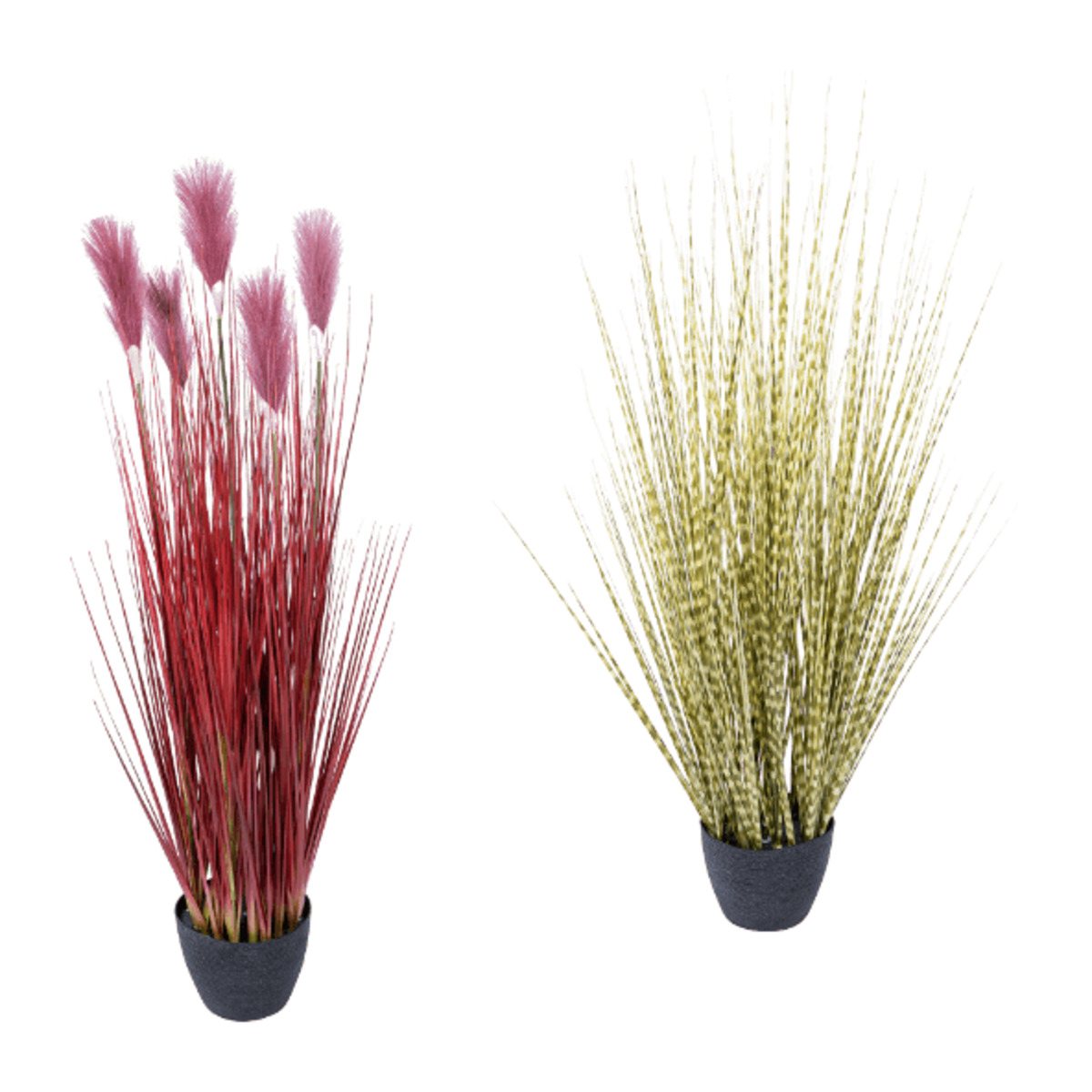 Bild 1 von HOME CREATION Künstliche Pflanzen