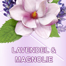 Bild 4 von Ajax Allzweckreiniger Lavendel & Magnolie