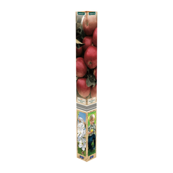 49+ Wann Gibt Es Obstbäume Bei Aldi Nord, Jetzt herausfinden, ob es