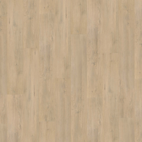 Bild 1 von D-c-floor Vinylboden 'Rigid' Roseburn Oak 4 mm