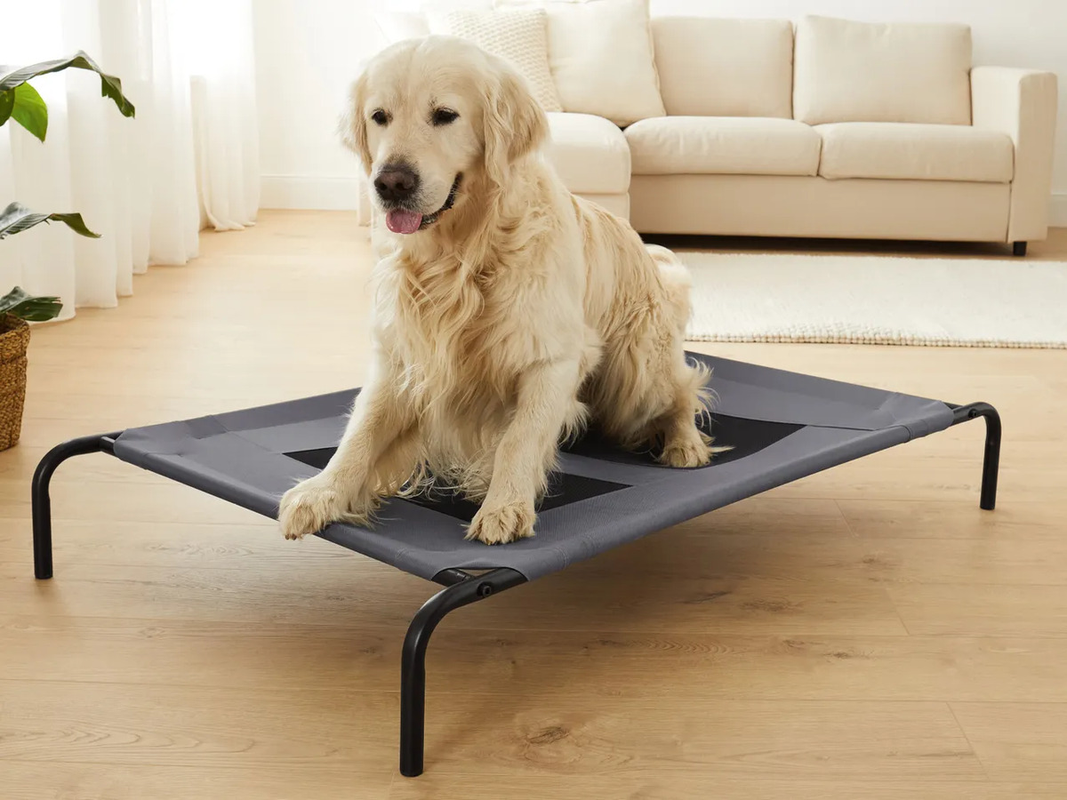 Bild 2 von ZOOFARI® Haustierbett, 
         Stück