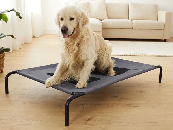 Bild 2 von ZOOFARI® Haustierbett, 
         Stück