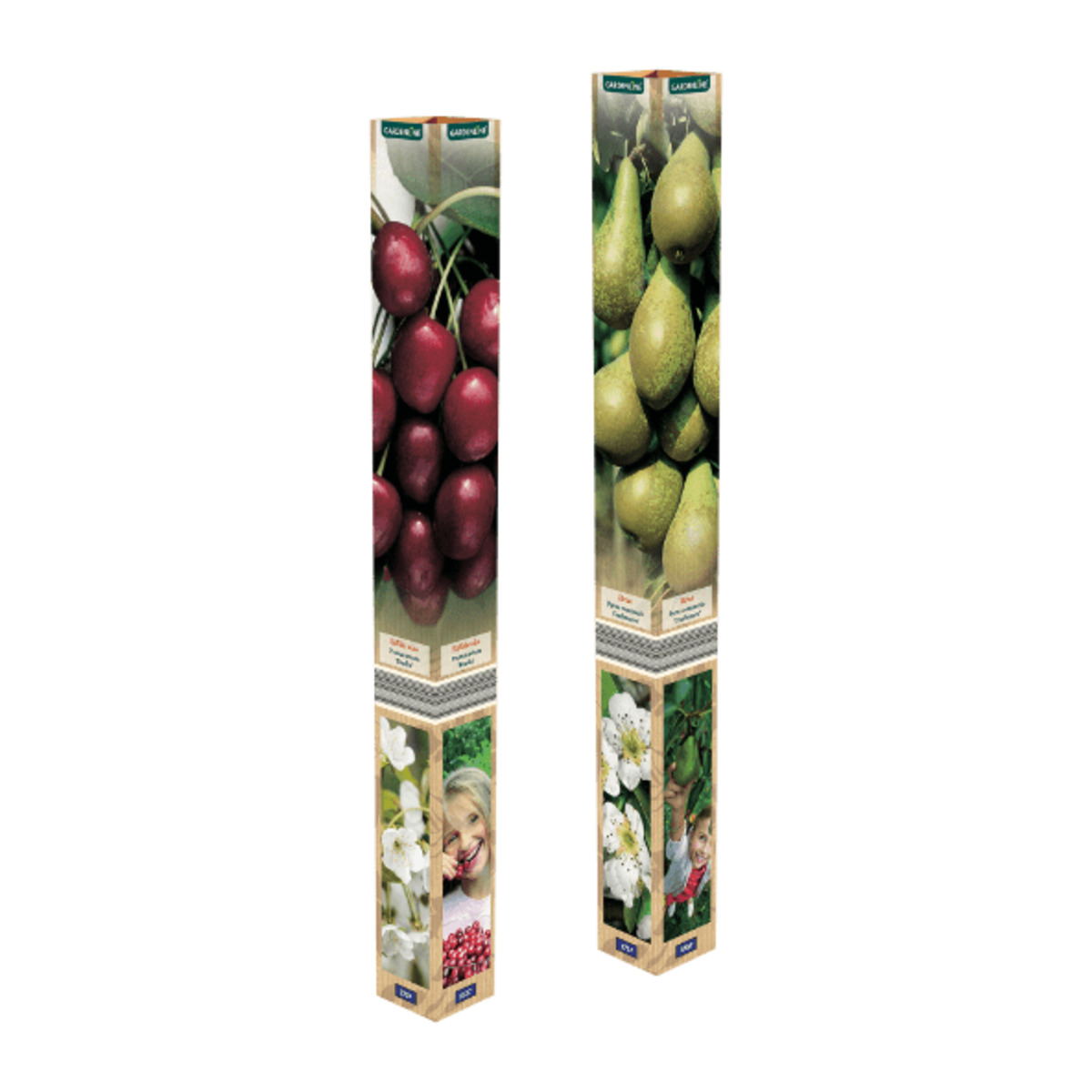 Bild 1 von GARDENLINE Obstbaum