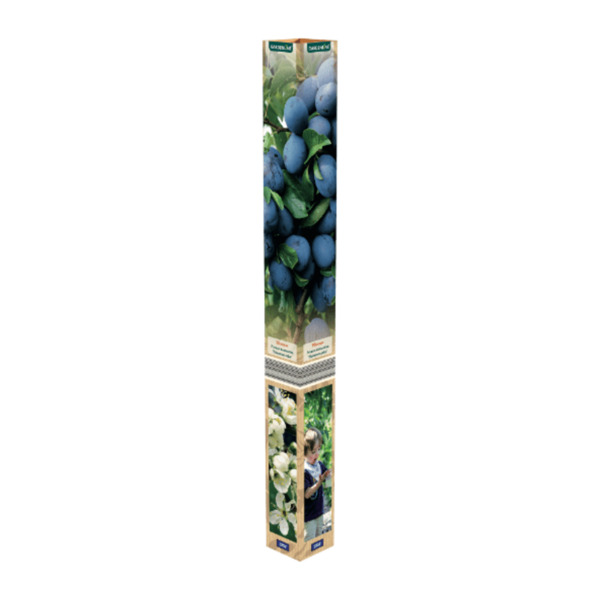 GARDENLINE Obstbaum von ALDI Nord ansehen!