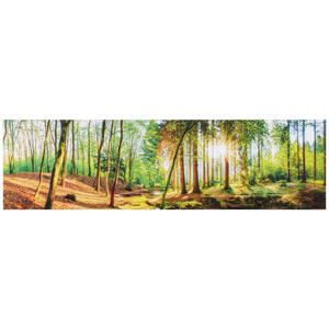 Euroart Acrylglasbild landschaft & natur , Ac-Wao1015 , Multicolor , Kunststoff , 50x180x1.70 cm , Dekorfolie , glänzend , 0057210255