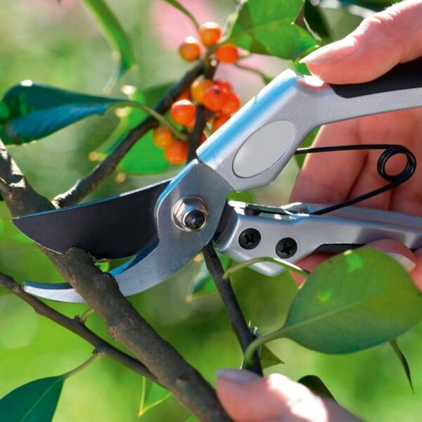 GARDENLINE Ergonomische Gartenschere von ALDI Nord ansehen!