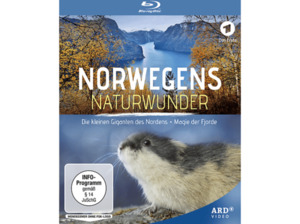 Norwegens Naturwunder: Die kleinen Giganten des Nordens / Magie der Fjorde [Blu-ray]