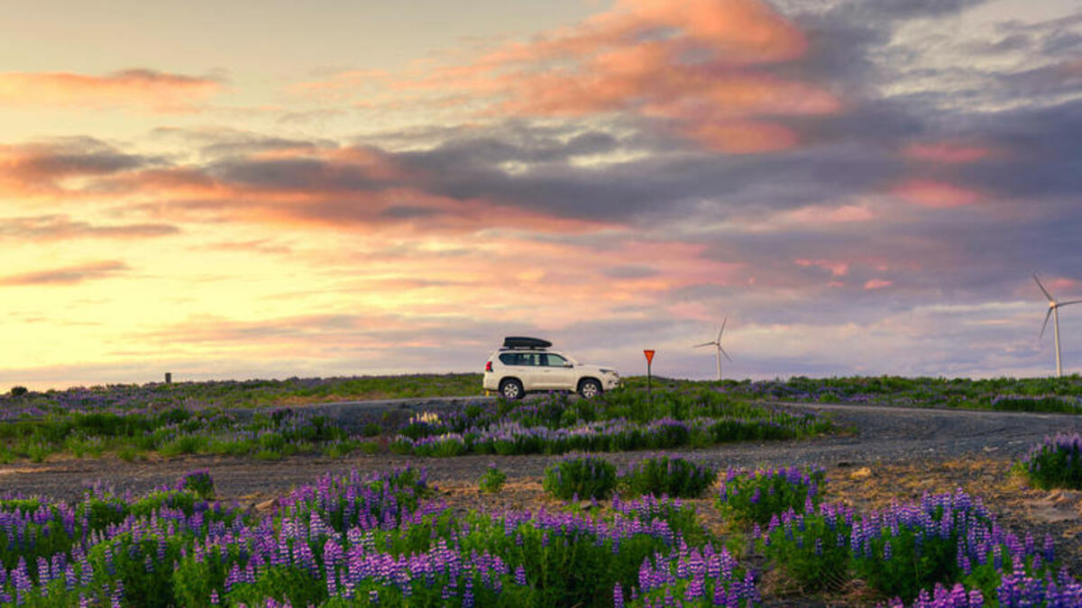 Bild 1 von Rundreisen Island: Rundreise ab/an Reykjavik mit eigenem Mietwagen