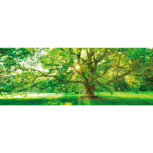 Euroart Glasbild bäume , Gb-Wam1056 , Multicolor , Glas , 30x80x1.40 cm , glänzend , Fotografie, einfache und schnelle Anbringung, glänzend , 005721049301