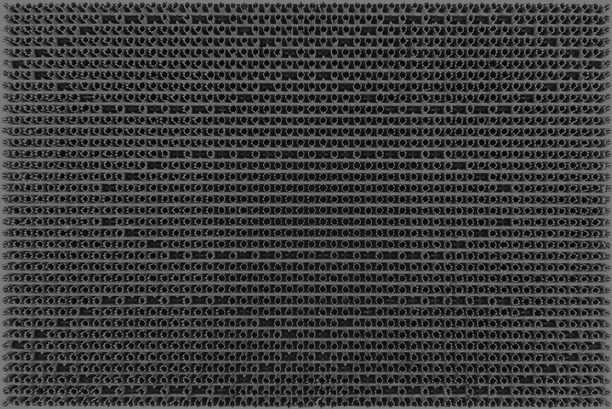 Bild 1 von Allwetter-Schmutzfangmatte ca. 40 x 60 cm