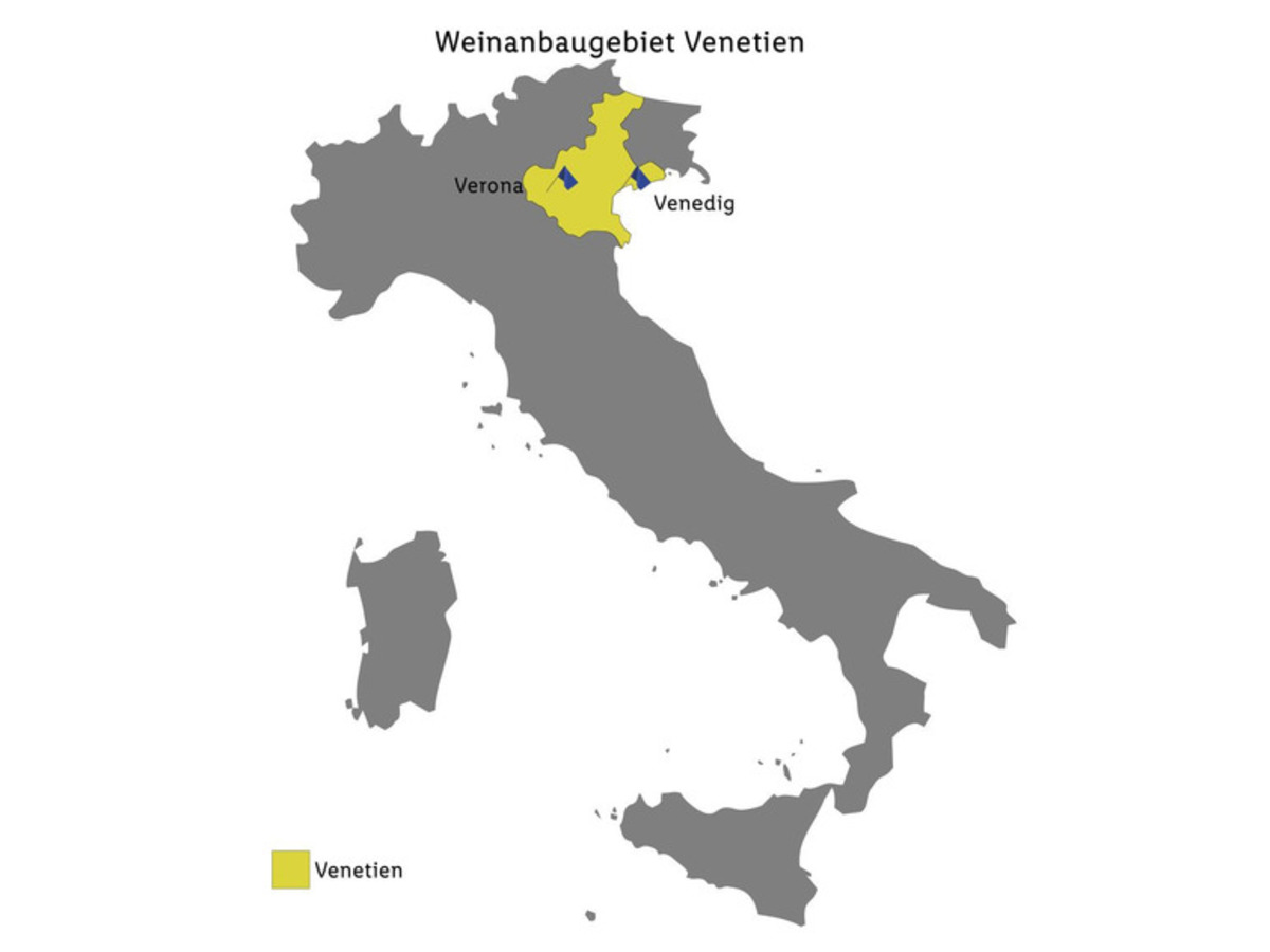 Bild 4 von Giulio Pasotti Lugana DOC trocken, Weißwein 2019