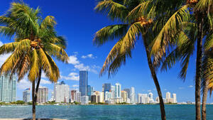 Rundreisen USA/Florida: Rundreise ab/an Miami