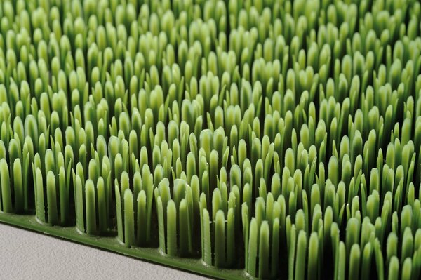 Bild 4 von Allwetter-Schmutzfangmatte ca. 40 x 60 cm