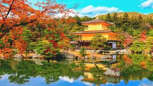 Rundreisen Japan: Kleingruppen-Rundreise von Tokio bis Kyoto