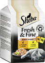 Bild 1 von Sheba Fresh & Fine in Sauce mit Huhn und Truthahn 6x 50G