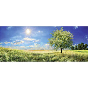 Euroart Glasbild landschaft & natur , Gb-Lag1051 , Multicolor , Glas , 50x125 cm , glänzend , Fotografie, einfache und schnelle Anbringung, glänzend , 0057210721