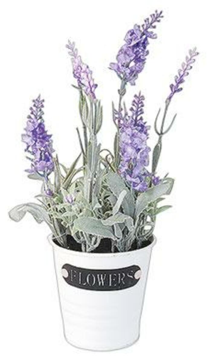 Bild 2 von künstlicher Lavendel