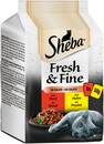 Bild 1 von Sheba Fresh & Fine in Sauce mit Rind und Huhn 6x 50G