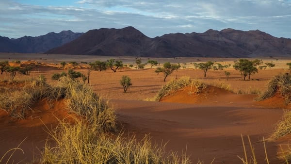 Bild 1 von Namibia - Roadtrip mit Glamping