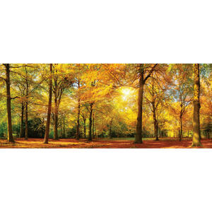 Euroart Glasbild landschaft & natur , Gb-Wag1022 , Multicolor , Glas , 50x125 cm , glänzend , Fotografie, einfache und schnelle Anbringung, glänzend , 0057210358
