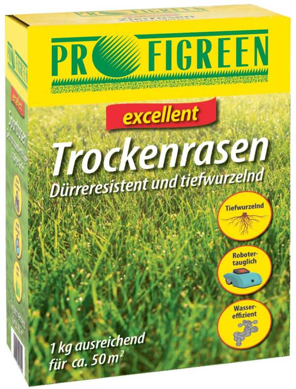 Bild 1 von Trockenrasen 1 kg