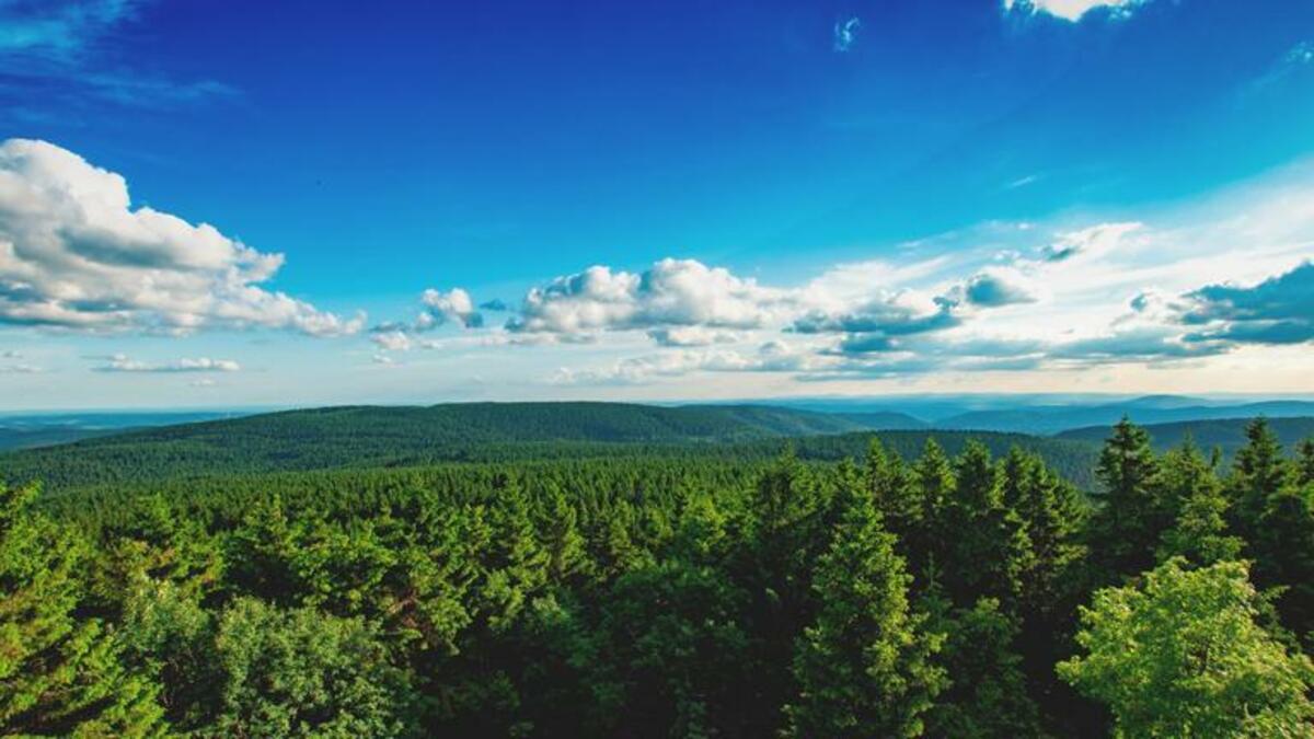 Bild 1 von Eigene Anreise Deutschland/Thüringer Wald - Masserberg: Werrapark Resort Sommerberg