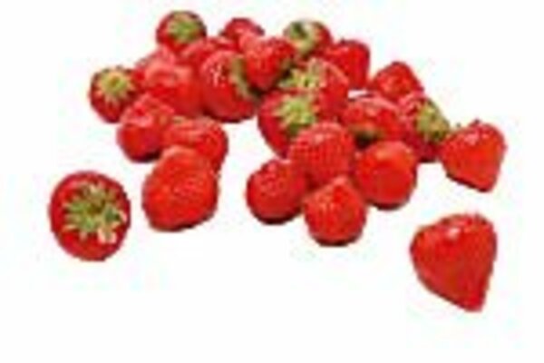 Bild 3 von Erdbeerpflanzen