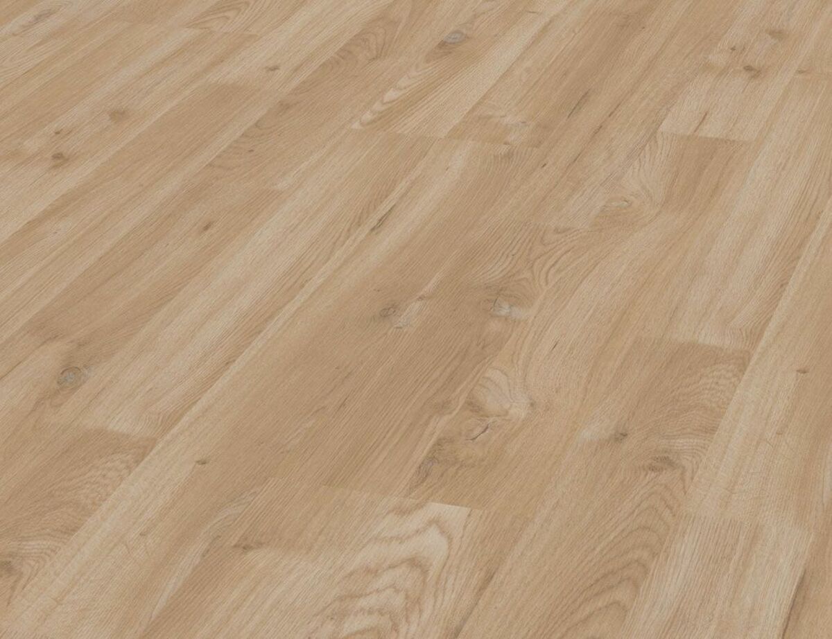 Bild 1 von SOLEA - Eiche