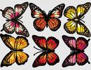 Bild 1 von Wandtattoo Schmetterlinge